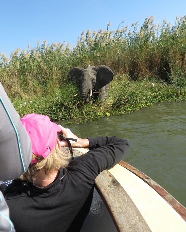 Liwonde National Park – Malawi